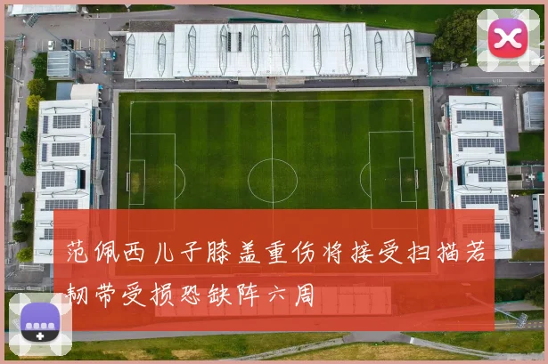 范佩西儿子膝盖重伤将接受扫描若韧带受损恐缺阵六周