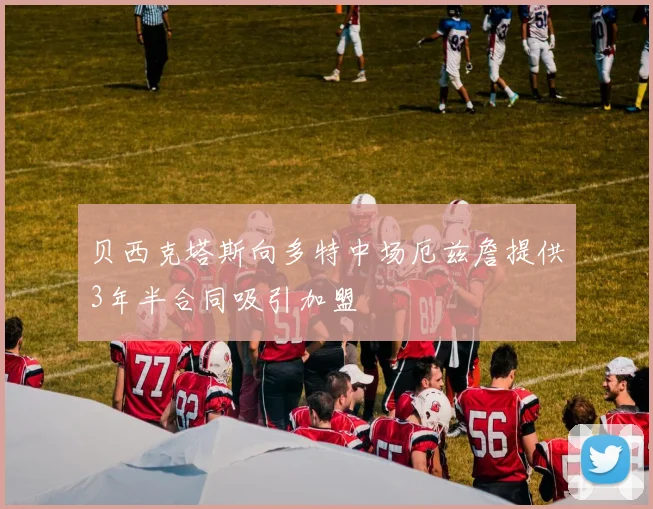 贝西克塔斯向多特中场厄兹詹提供3年半合同吸引加盟